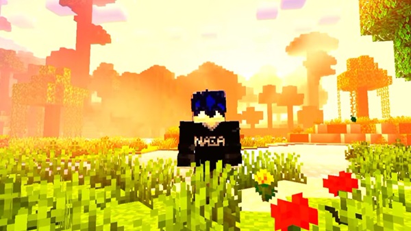 minecraft 1.26.39 edition